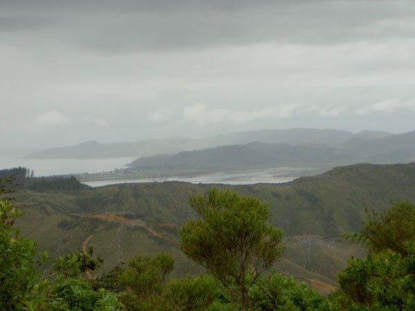 Rotorua - Coromandel